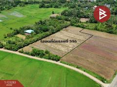 ขายที่ดิน เนื้อที่ 8 ไร่ 3 งาน 91 ตร.วา ลับแล อุตรดิตถ์-202510011218311759295911009.jpg