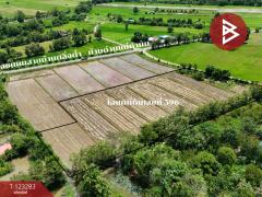 ขายที่ดิน เนื้อที่ 8 ไร่ 3 งาน 91 ตร.วา ลับแล อุตรดิตถ์-202510011218311759295911538.jpg