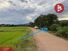 ขายที่ดิน เนื้อที่ 8 ไร่ 3 งาน 91 ตร.วา ลับแล อุตรดิตถ์-202510011218321759295912580.jpg