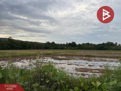 ขายที่ดิน เนื้อที่ 8 ไร่ 3 งาน 91 ตร.วา ลับแล อุตรดิตถ์-202510011218331759295913092.jpg