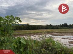 ขายที่ดิน เนื้อที่ 8 ไร่ 3 งาน 91 ตร.วา ลับแล อุตรดิตถ์-202510011218331759295913614.jpg