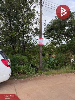 ขายที่ดิน เนื้อที่ 8 ไร่ 3 งาน 91 ตร.วา ลับแล อุตรดิตถ์-202510011218341759295914131.jpg