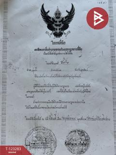 ขายที่ดิน เนื้อที่ 8 ไร่ 3 งาน 91 ตร.วา ลับแล อุตรดิตถ์-202510011218341759295914652.jpg