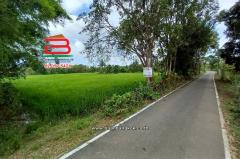 ที่ดินเปล่า บ้านเนินหอม(ม.4) เนื้อที่ 29-0-52 ไร่ ( เทศบาลซอย 12) ตำบลเนินหอม อำเภอเมืองปราจีนบุรี ปราจีนบุรี-202510011244421759297482534.jpg