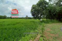 ที่ดินเปล่า บ้านเนินหอม(ม.4) เนื้อที่ 29-0-52 ไร่ ( เทศบาลซอย 12) ตำบลเนินหอม อำเภอเมืองปราจีนบุรี ปราจีนบุรี-202510011244441759297484428.jpg