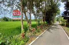 ที่ดินเปล่า บ้านเนินหอม(ม.4) เนื้อที่ 29-0-52 ไร่ ( เทศบาลซอย 12) ตำบลเนินหอม อำเภอเมืองปราจีนบุรี ปราจีนบุรี-202510011244441759297484904.jpg