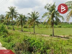 ขายที่ดินแปลงสวย-เนื้อที่-8-ไร่-3-งาน-29