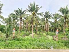 ที่ดิน พร้อมสวนมะพร้าว ใกล้ถนนบ้านแพ้ว ต.หลักสาม สมุทรสาคร-202510011423431759303423261.jpg