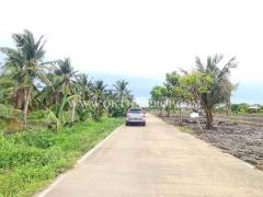 ที่ดิน พร้อมสวนมะพร้าว ใกล้ถนนบ้านแพ้ว ต.หลักสาม สมุทรสาคร-202510011423471759303427994.jpg