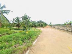 ที่ดิน พร้อมสวนมะพร้าว ใกล้ถนนบ้านแพ้ว ต.หลักสาม สมุทรสาคร-202510011423501759303430242.jpg