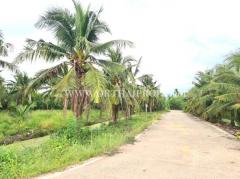 ที่ดิน พร้อมสวนมะพร้าว ใกล้ถนนบ้านแพ้ว ต.หลักสาม สมุทรสาคร-202510011423561759303436372.jpg