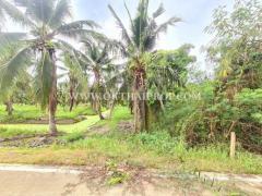 ที่ดิน พร้อมสวนมะพร้าว ใกล้ถนนบ้านแพ้ว ต.หลักสาม สมุทรสาคร-202510011424101759303450627.jpg