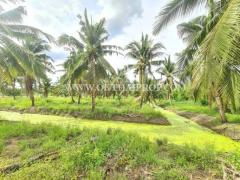 ที่ดิน พร้อมสวนมะพร้าว ใกล้ถนนบ้านแพ้ว ต.หลักสาม สมุทรสาคร-202510011424131759303453635.jpg
