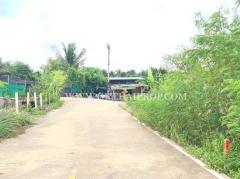 ที่ดิน พร้อมสวนมะพร้าว ใกล้ถนนบ้านแพ้ว ต.หลักสาม สมุทรสาคร-202510011424191759303459250.jpg