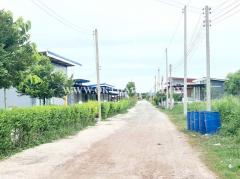 ที่ดิน พร้อมสวนมะพร้าว ใกล้ถนนบ้านแพ้ว ต.หลักสาม สมุทรสาคร-202510011424211759303461647.jpg