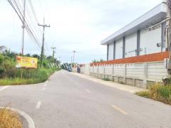 ที่ดิน พร้อมสวนมะพร้าว ใกล้ถนนบ้านแพ้ว ต.หลักสาม สมุทรสาคร-202510011424321759303472813.jpg