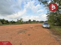 ขายที่ดิน เนื้อที่ 1 ไร่ 2 งาน แกลง ระยอง-202510011427171759303637579.jpg