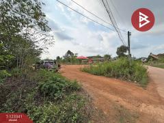 ขายที่ดิน เนื้อที่ 1 ไร่ 2 งาน แกลง ระยอง-202510011427181759303638620.jpg