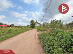 ขายที่ดิน เนื้อที่ 1 ไร่ 2 งาน แกลง ระยอง-202510011427191759303639141.jpg