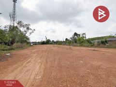 ขายที่ดิน เนื้อที่ 1 ไร่ 2 งาน แกลง ระยอง-202510011427201759303640709.jpg