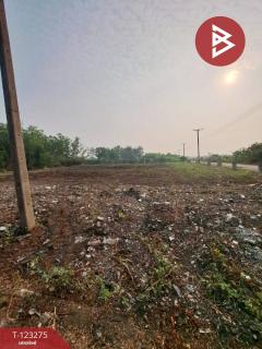 ขายที่ดินแปลงมุม เนื้อที่ 2 ไร่ คลองหลวง ปทุมธานี ทำเลดี