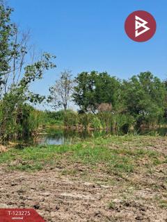 ขายที่ดินแปลงมุม เนื้อที่ 2 ไร่ คลองหลวง ปทุมธานี ทำเลดี-202510011450101759305010598.jpg