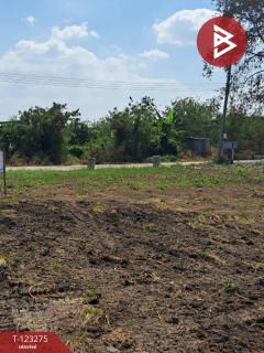 ขายที่ดินแปลงมุม เนื้อที่ 2 ไร่ คลองหลวง ปทุมธานี ทำเลดี-202510011450111759305011134.jpg