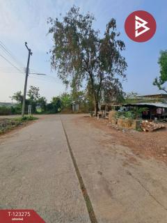 ขายที่ดินแปลงมุม เนื้อที่ 2 ไร่ คลองหลวง ปทุมธานี ทำเลดี-202510011450111759305011673.jpg