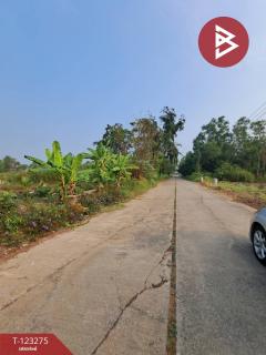 ขายที่ดินแปลงมุม เนื้อที่ 2 ไร่ คลองหลวง ปทุมธานี ทำเลดี-202510011450121759305012195.jpg