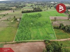 ขายที่ดิน เนื้อที่ 37 ไร่ 2 งาน 65 ตร.วา อุบลรัตน์ ขอนแก่น-202510011520231759306823908.jpg