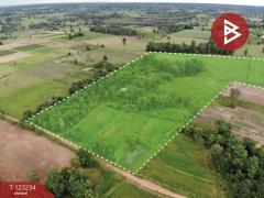 ขายที่ดิน เนื้อที่ 37 ไร่ 2 งาน 65 ตร.วา อุบลรัตน์ ขอนแก่น-202510011520241759306824434.jpg