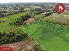 ขายที่ดิน เนื้อที่ 37 ไร่ 2 งาน 65 ตร.วา อุบลรัตน์ ขอนแก่น-202510011520251759306825486.jpg