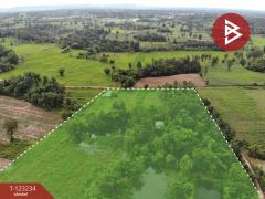 ขายที่ดิน เนื้อที่ 37 ไร่ 2 งาน 65 ตร.วา อุบลรัตน์ ขอนแก่น-202510011520261759306826007.jpg