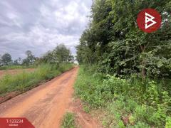 ขายที่ดิน เนื้อที่ 37 ไร่ 2 งาน 65 ตร.วา อุบลรัตน์ ขอนแก่น-202510011520271759306827605.jpg