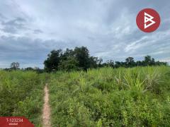 ขายที่ดิน เนื้อที่ 37 ไร่ 2 งาน 65 ตร.วา อุบลรัตน์ ขอนแก่น-202510011520281759306828128.jpg