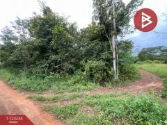 ขายที่ดิน เนื้อที่ 37 ไร่ 2 งาน 65 ตร.วา อุบลรัตน์ ขอนแก่น-202510011520281759306828648.jpg