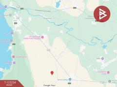 ขายที่ดิน เนื้อที่ 37 ไร่ 2 งาน 65 ตร.วา อุบลรัตน์ ขอนแก่น-202510011520291759306829188.jpg