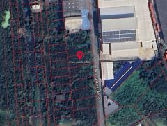 ขาย/ให้เช่าที่ดิน 113 ตร.ว. (ราคาเพียง 25,000 บ./ตร.ว.) ซอยบางกระดี่ 18 ติดโรงงาน ใกล้นิคมบางกระดี่ เหมาะสร้างบ้านและกิจการ-202510011528201759307300398.jpg