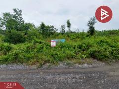 ขายที่ดินเปล่า เนื้อที่ 2 งาน 40 ตาราง องครักษ์ นครนายก