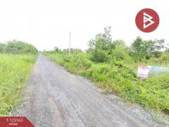 ขายที่ดินเปล่า เนื้อที่ 2 งาน 40 ตาราง องครักษ์ นครนายก-202510011530191759307419680.jpg