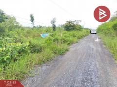 ขายที่ดินเปล่า เนื้อที่ 2 งาน 40 ตาราง องครักษ์ นครนายก-202510011530201759307420707.jpg