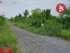  ขายที่ดิน เนื้อที่ 2 งาน 40 ตร.วา องครักษ์ นครนายก-202510011545271759308327135.jpg