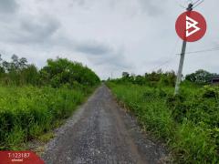  ขายที่ดิน เนื้อที่ 2 งาน 40 ตร.วา องครักษ์ นครนายก-202510011545271759308327669.jpg