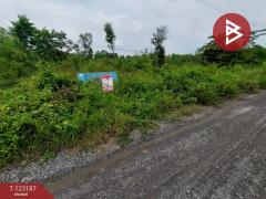  ขายที่ดิน เนื้อที่ 2 งาน 40 ตร.วา องครักษ์ นครนายก-202510011545281759308328201.jpg