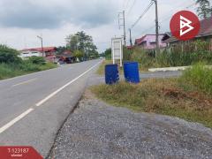  ขายที่ดิน เนื้อที่ 2 งาน 40 ตร.วา องครักษ์ นครนายก-202510011545281759308328729.jpg