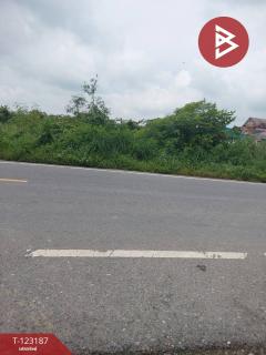  ขายที่ดิน เนื้อที่ 2 งาน 40 ตร.วา องครักษ์ นครนายก-202510011545291759308329256.jpg