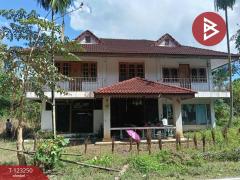 ขายที่ดินพร้อมสิ่งปลูกสร้าง เนื้อที่ 1 ไร่ 2 งาน 77 ตร.วา เชียงดาว เชียงใหม่