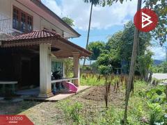 ขายที่ดินพร้อมสิ่งปลูกสร้าง เนื้อที่ 1 ไร่ 2 งาน 77 ตร.วา เชียงดาว เชียงใหม่-202510011559071759309147895.jpg