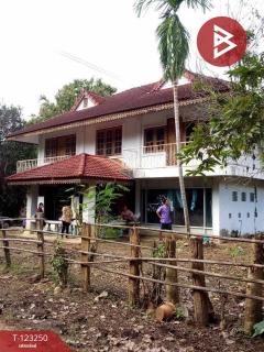 ขายที่ดินพร้อมสิ่งปลูกสร้าง เนื้อที่ 1 ไร่ 2 งาน 77 ตร.วา เชียงดาว เชียงใหม่-202510011559081759309148438.jpg