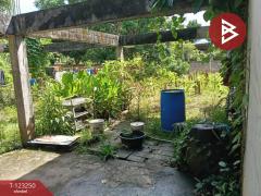 ขายที่ดินพร้อมสิ่งปลูกสร้าง เนื้อที่ 1 ไร่ 2 งาน 77 ตร.วา เชียงดาว เชียงใหม่-202510011559111759309151008.jpg